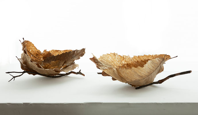 Floating Leaf Vessels 