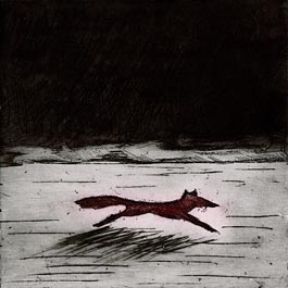 Etching, Red Fox