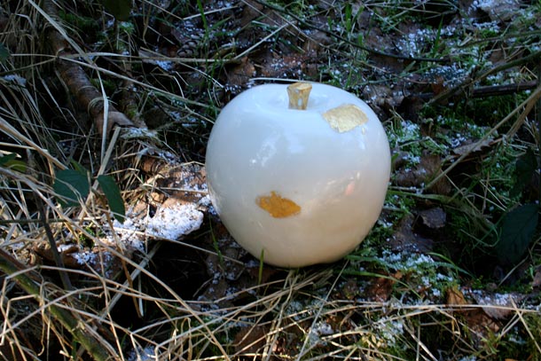 Gilded apple